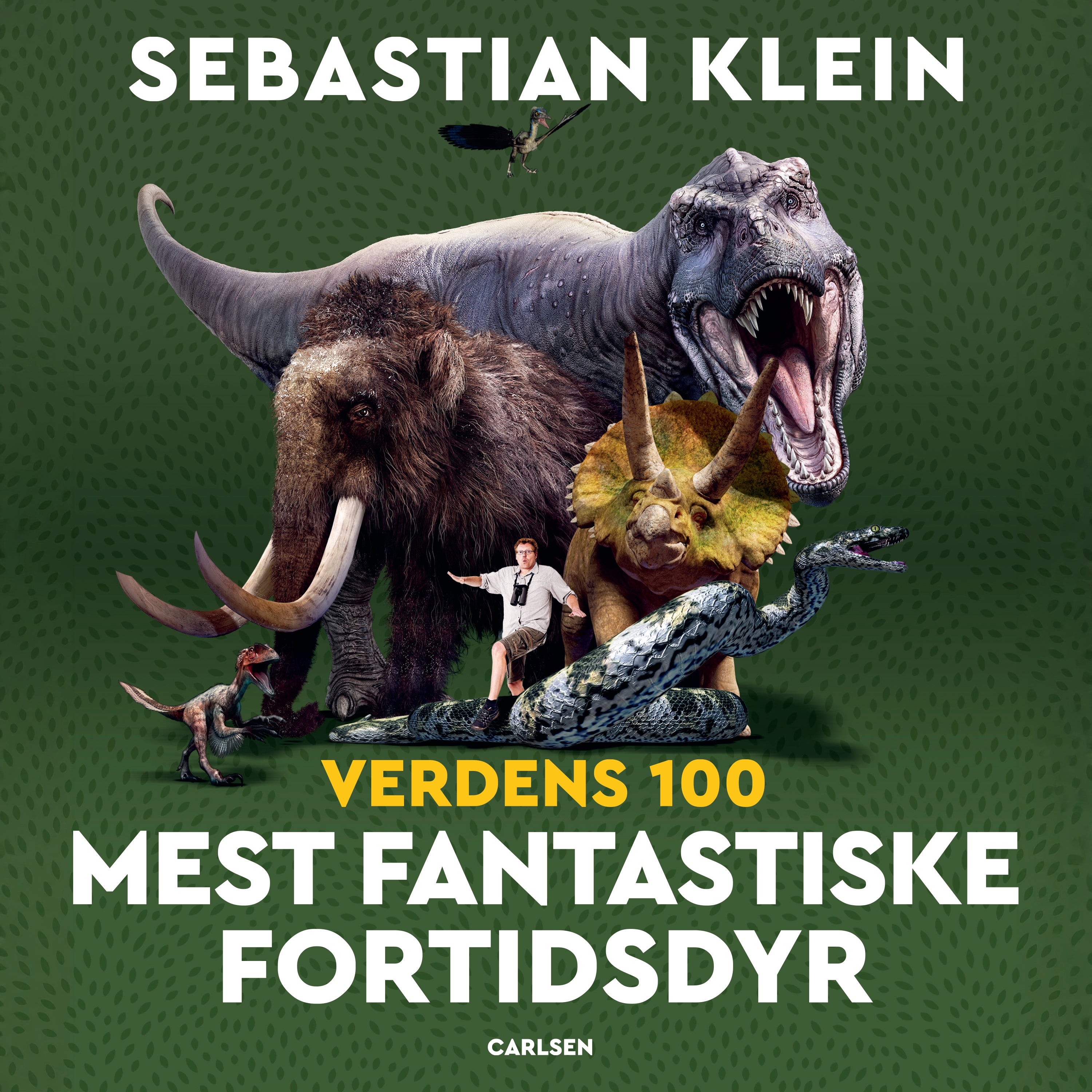 Forside billede